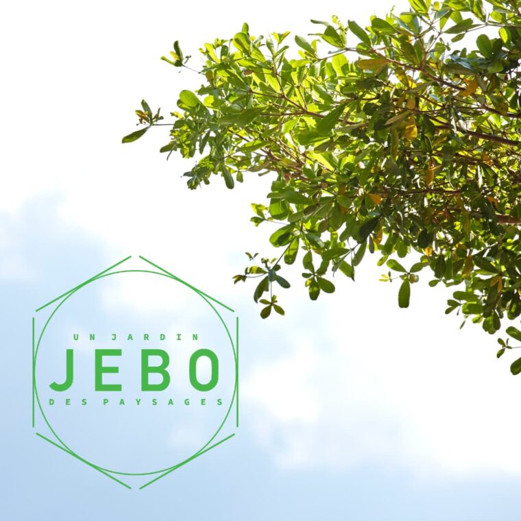 Realisation Jebo Payages Creation du site web Maintenance Hebergement
